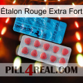 Étalon Rouge Extra Fort new14